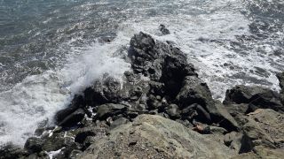 2025-01-GC-Playa_del_Aguila-61.jpg
